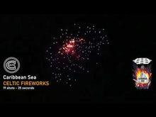 Load and play video in Gallery viewer, CARIBBEAN SEA
