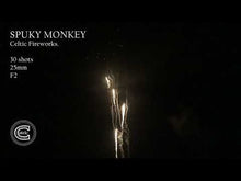 Load and play video in Gallery viewer, Spunky Monkey

